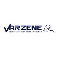 VARZENE METAL