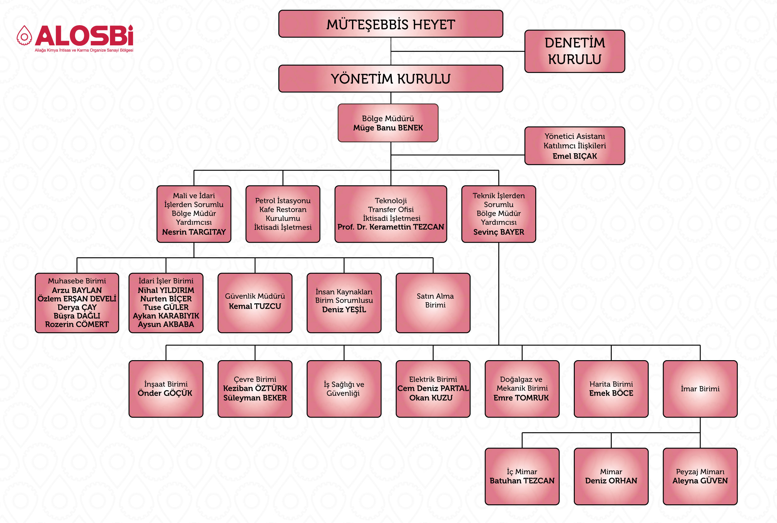 Organizasyon Şeması