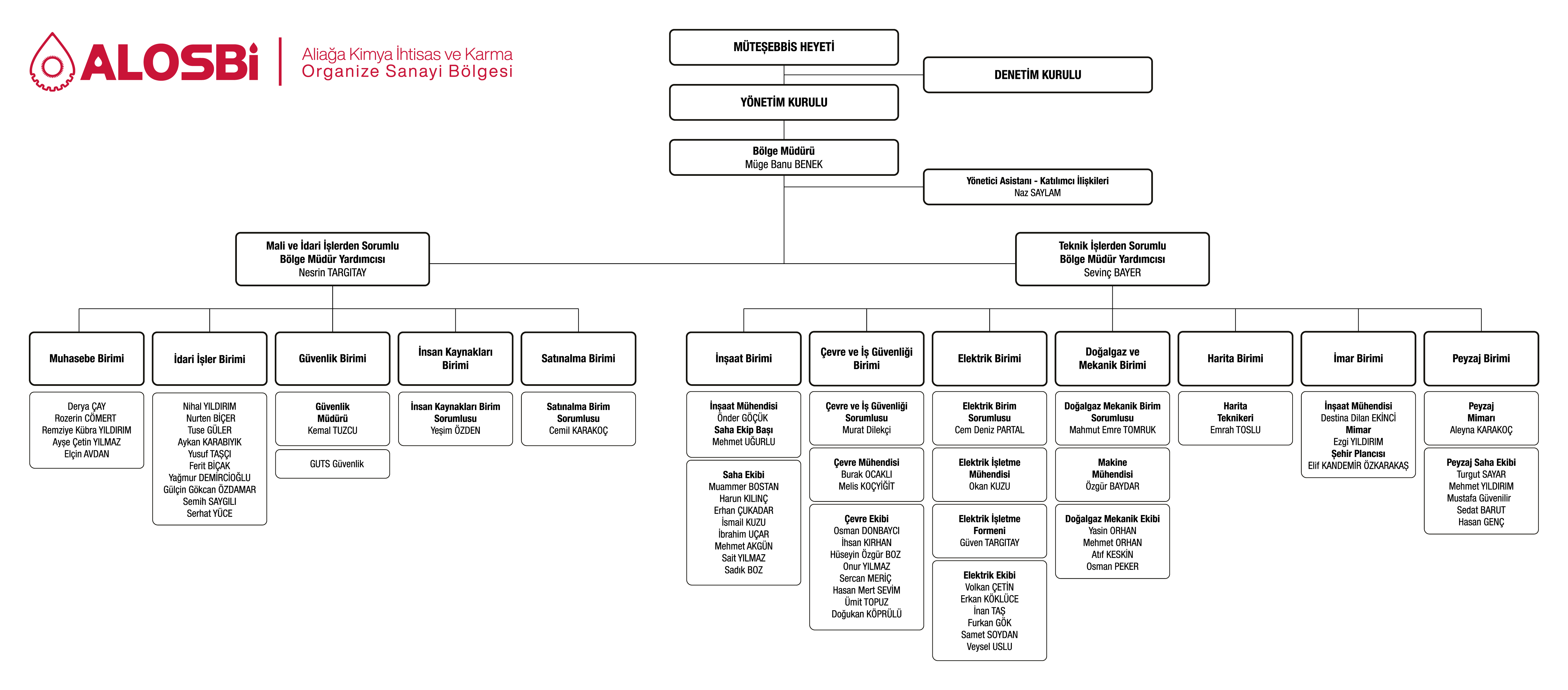 Organizasyon Şeması